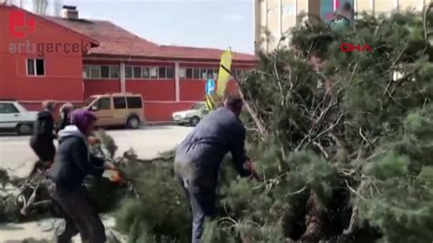 Seçim çalışmasında üzerine ağaç devrildi İzmir